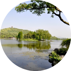 弯弯青柯 摄影书法文艺