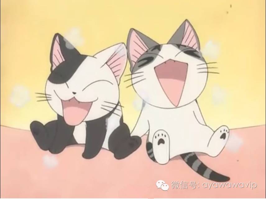 不好意思,你踩到我尾巴了