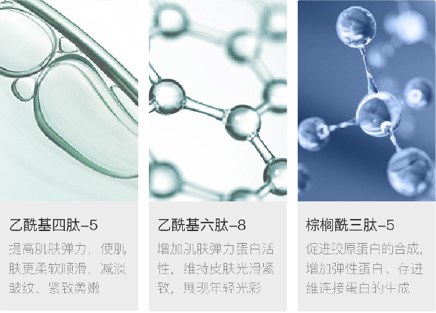 棕榈酰三肽-5/乙酰基六肽-8/乙酰基四肽-5/肌肽等