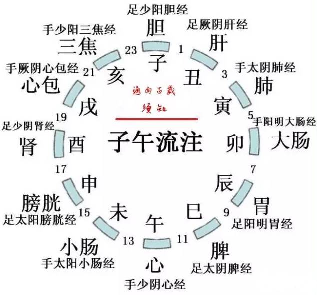 中医养生-最健康的作息时间表