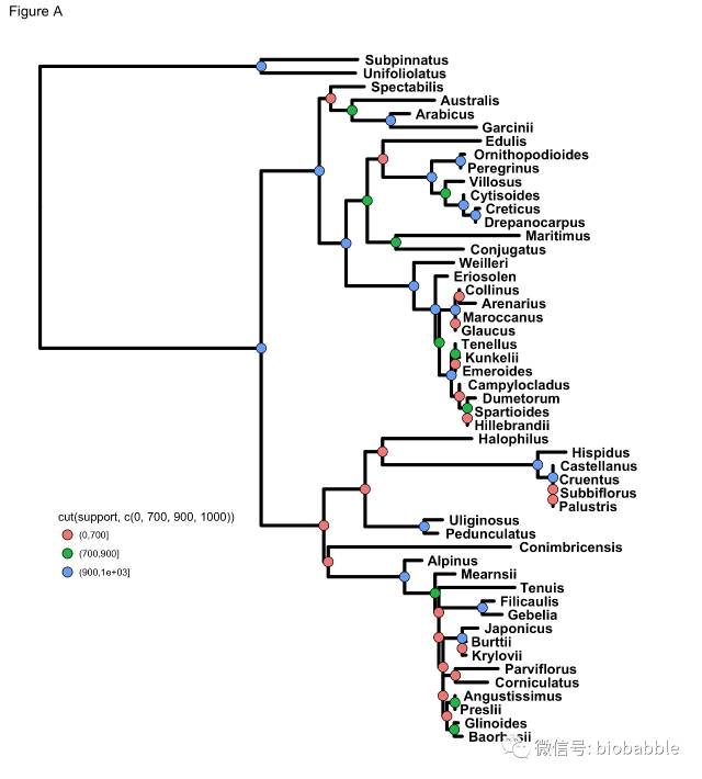bootstrap分段标记