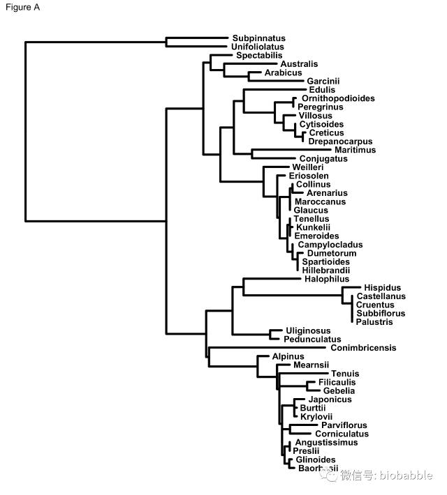 bootstrap分段标记