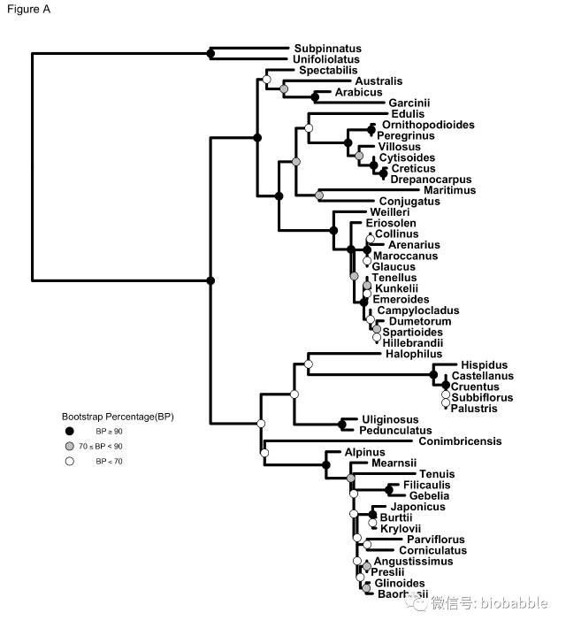 bootstrap分段标记