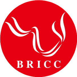 丝路国际产能合作促进中心