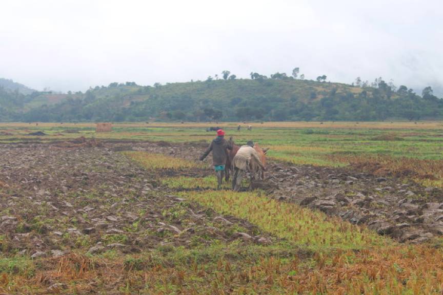 对世界各地的人来说，始终如一的生物节律——如按时吃饭、起床、睡觉，还有尽量增加户外活动，都是弥补不理想睡眠造成的消极影响的好方法。图片来源：David Samson？