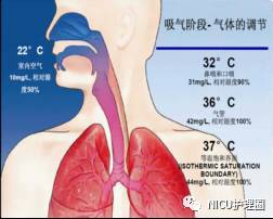 为什么要用湿化器有创呼吸机和无创呼吸机气道湿化指南要点（一）_https://www.jmylbn.com_新闻资讯_第2张