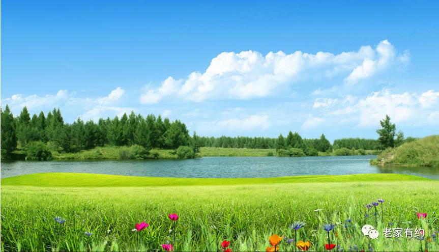 20170615214215_q6h3mp5cs9.png?v=1762008272744