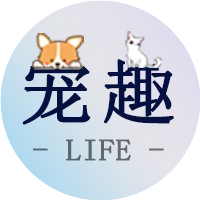 宠趣Life