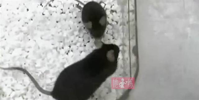 在厄瓜多尔的偏远地区