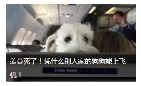 飞机上的亲吻_飞机上的亲吻_飞机上的亲吻