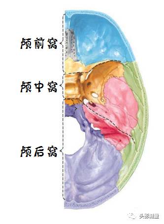 颅底外侧面分为中线区和两个侧区,所以与颅中窝及颅后窝相对应的也有