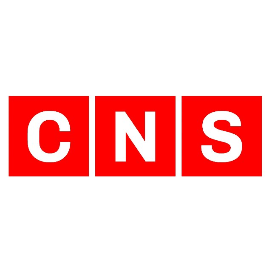 CNS导读