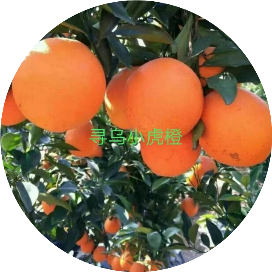 寻乌果农之友