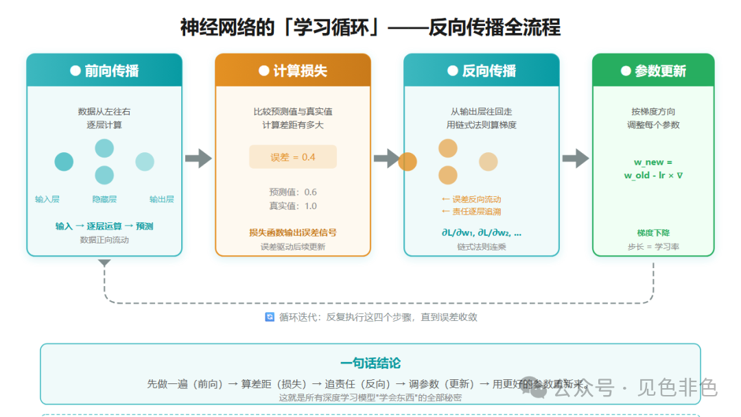 反向传播全流程图