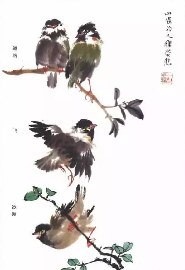 例图《秋晴》.先画山雀,再穿技添叶,画山栗,最后画雀爪 .