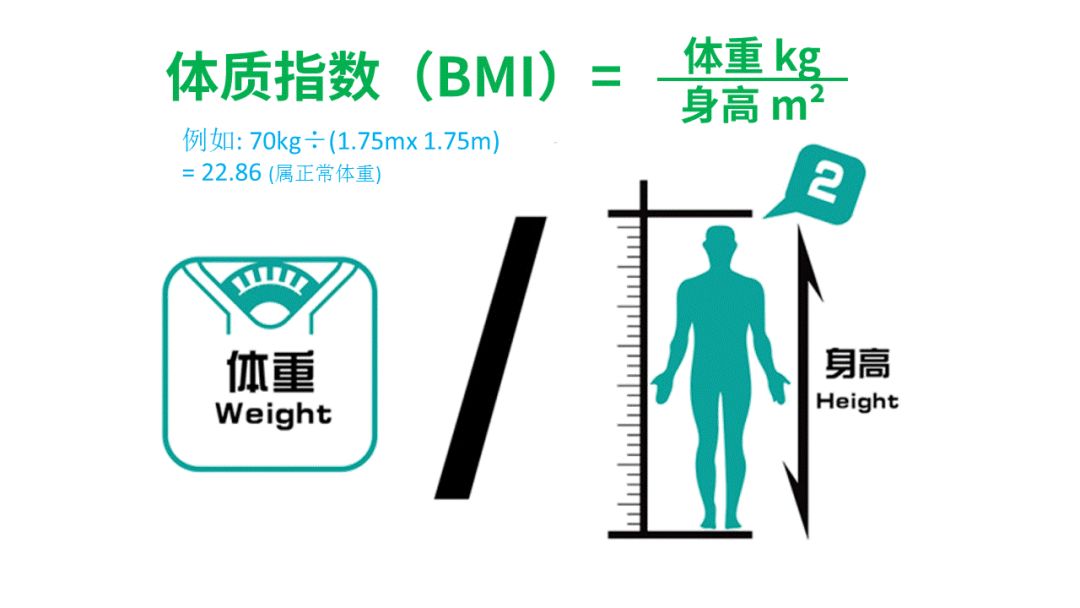 薄荷爱瘦身_薄荷爱瘦身bmi什么意思_薄荷爱瘦身app