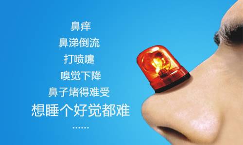 鼻炎的困扰，您占全了吗？