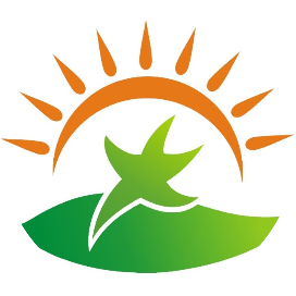 开化县城东小学