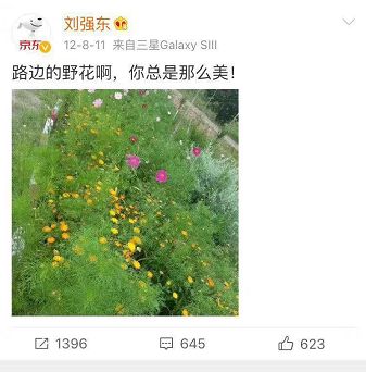 还有吃瓜群众扒出，在2018年3月10日的会议上，东哥提醒青年人创业：要走正道，不要等企业成功了，自己却违法犯罪入狱，老婆孩子带着钱跟别人过了，那就悲剧了。不知道是不是在说自己？