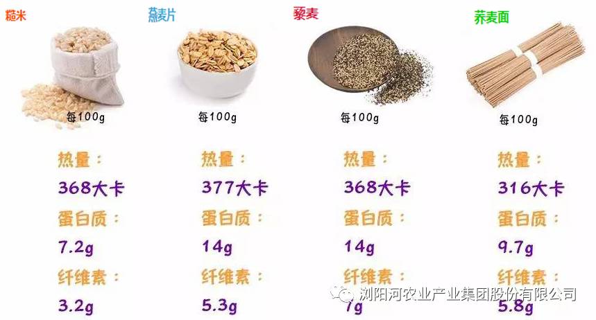 从营养成分来看(每100g)