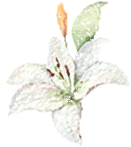 寻芳觅趣正当时，不负春光踏歌行