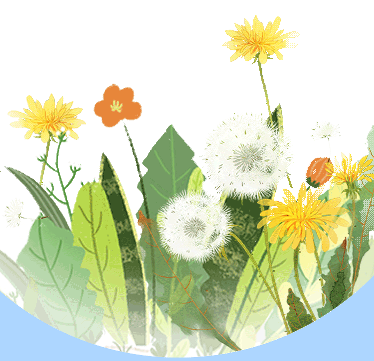 寻芳觅趣正当时，不负春光踏歌行