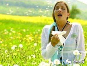 女子在油菜花田拍照后进医院 曾有人过敏诱病身亡