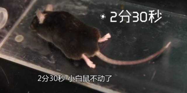 笑气能让留学生致瘫，星巴克也每天都在用