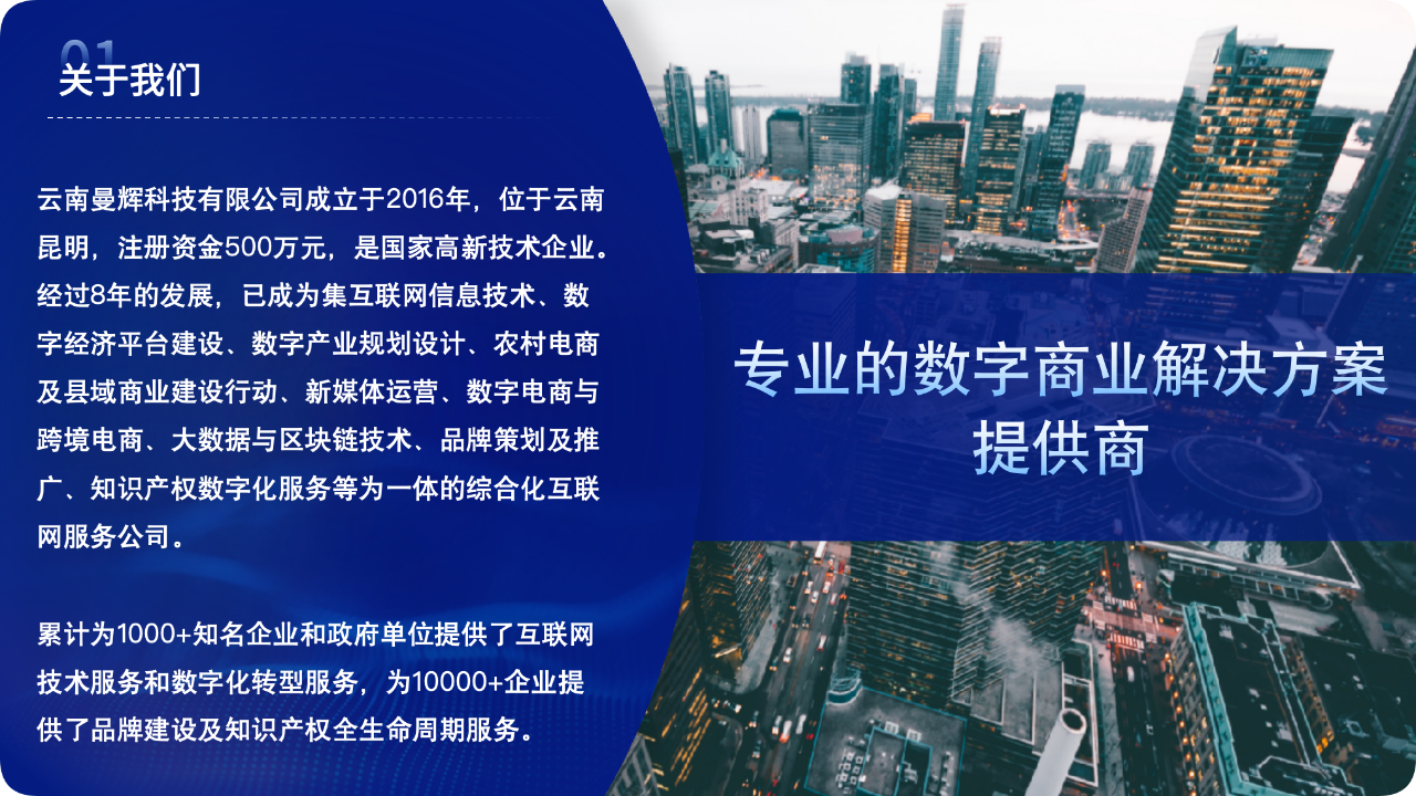 云南曼辉科技有限公司