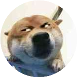 有情人好聚好散