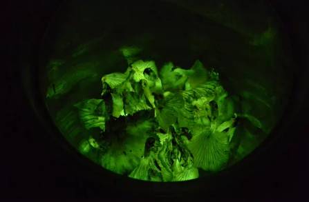 圖片關(guān)鍵詞