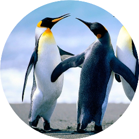 车业资讯