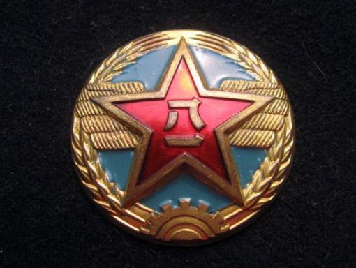 1951年开始佩用的空军帽徽空军军徽确定后,也成为空军帽徽,军种符号