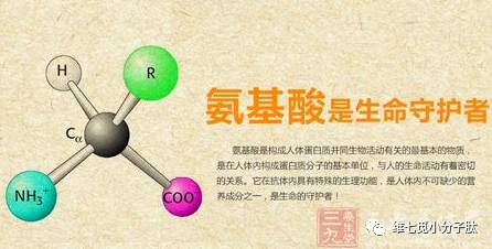 肽知识：全面了解肽
