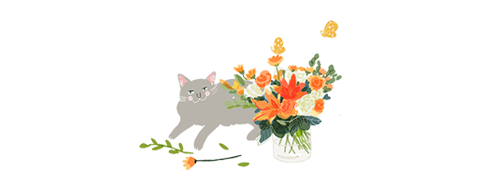 新手指南｜只需3步，即刻学会插花入门！