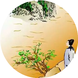 古诗词大全365首