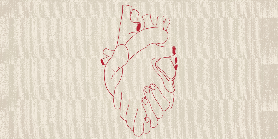 Red heart illustration merged with hands holding