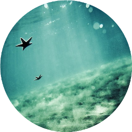 天地大美越人行