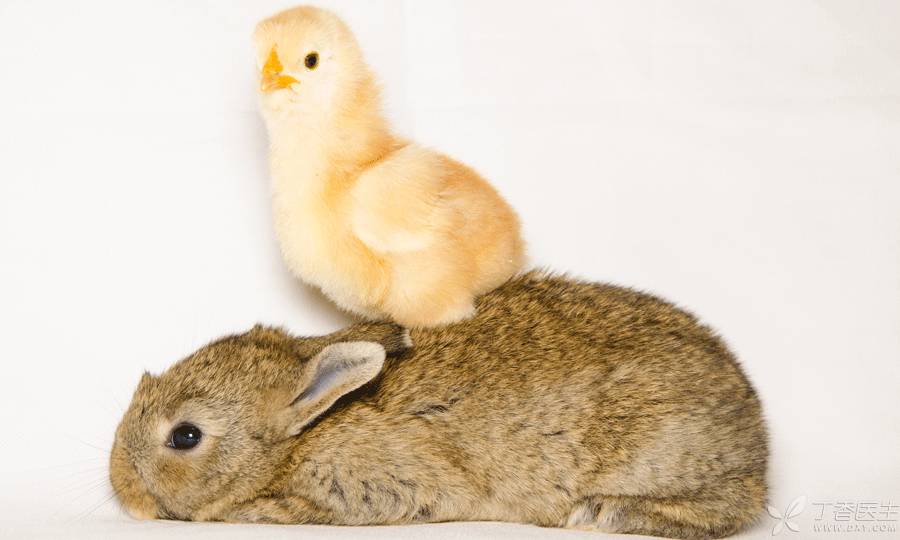 河北首道医药科技有限公司