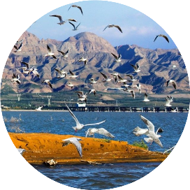 海勃湾区文化旅游体育局