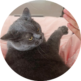 萌猫宝哥哥