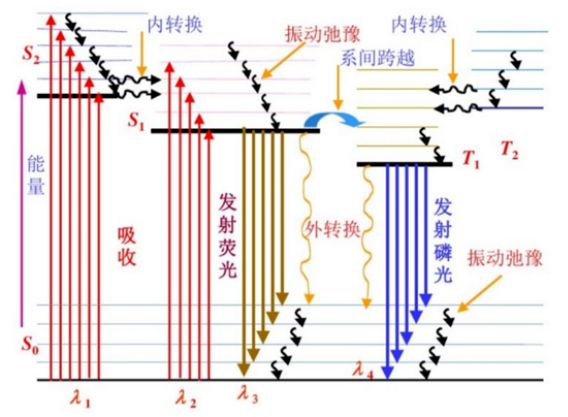 分子的辐射跃迁与无辐射跃迁示意图