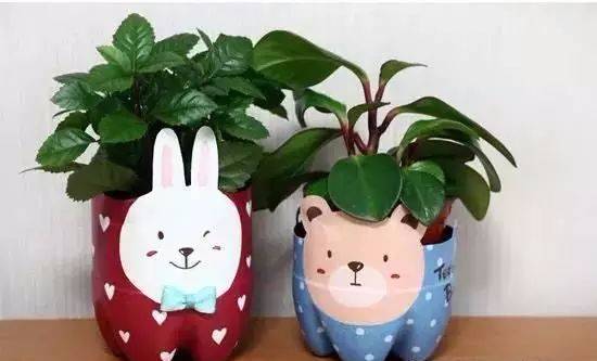 东营桶装水价格联盟-喝完的矿泉水瓶废物利用,手工,全