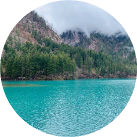 生活技巧宝典库