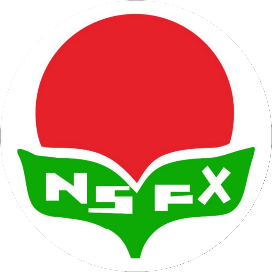 桂城街道南海师范附属小学