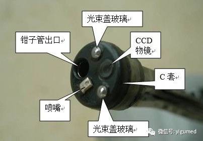 内窥镜导光束怎么更换【内窥镜基础知识普及]】内窥镜的结构及各组件简介_https://www.jmylbn.com_新闻资讯_第4张