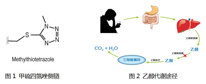 (图1)(也有一些药物结构中不含有该结构,仍可以引起双硫仑样反应,这类