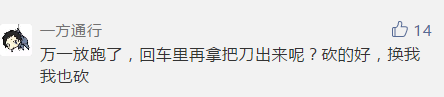 宝马车司机砍人反被狂砍致死！死者多次犯罪获刑 千万别欺负老实人！