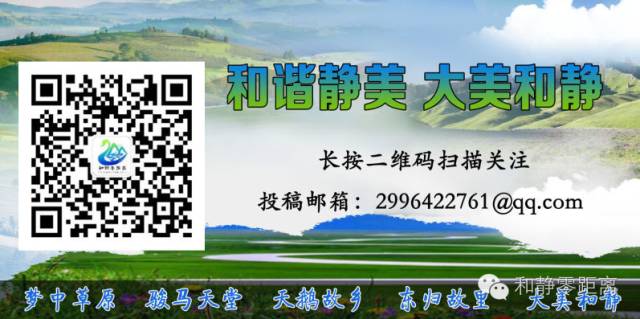 和静县计划生育协会秘书长、常务副会长努尔古丽·吐尔逊同志发声亮剑【双语版】