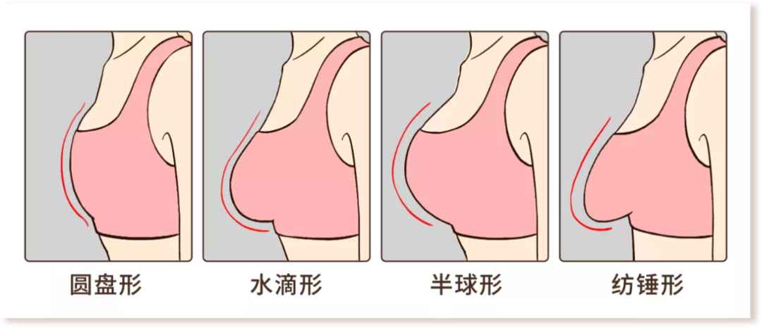 女生胸部最标准的5种形状男生禁入